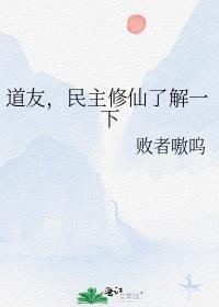 道友，民主修仙了解一下